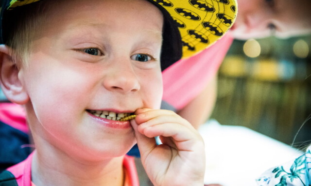 - Larver smaker deilig! Benjamin (5) har vært på pestaurant